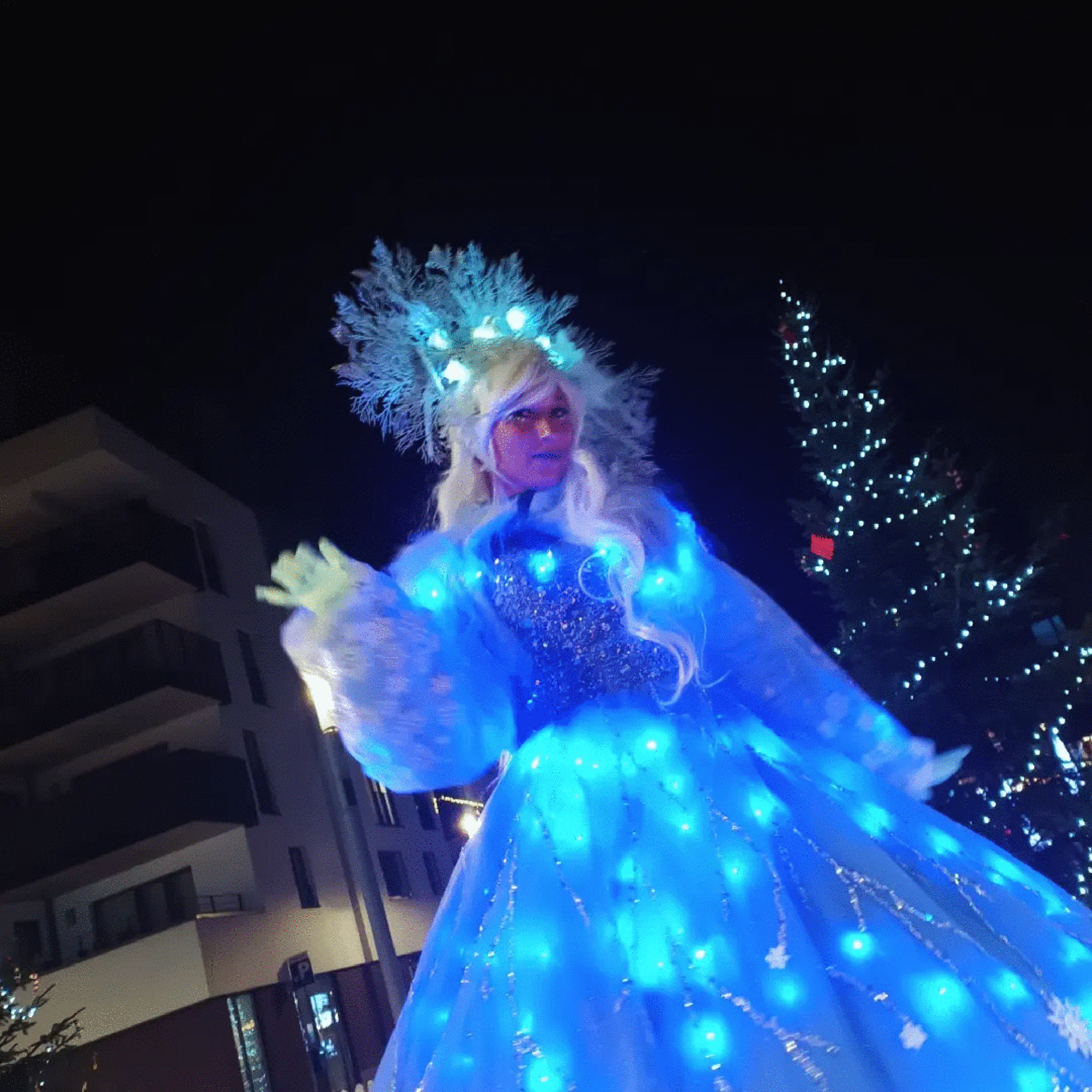 Echassier d'accueil - La fée froid