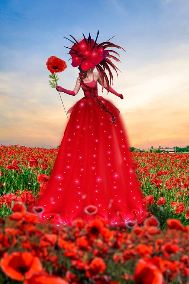 Echassier d'accueil - Oh coquelicot