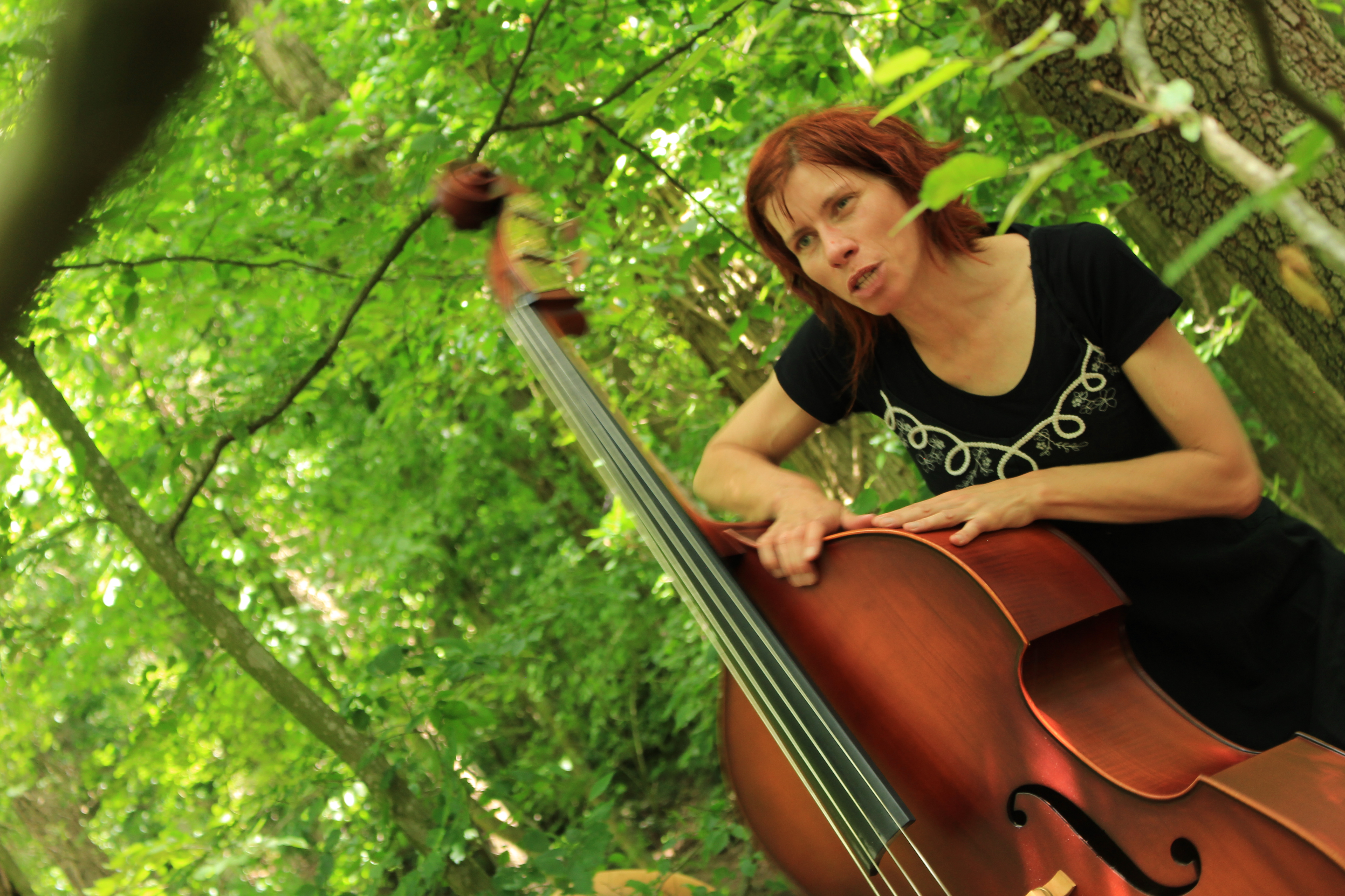 Spectacle Histoire boisées